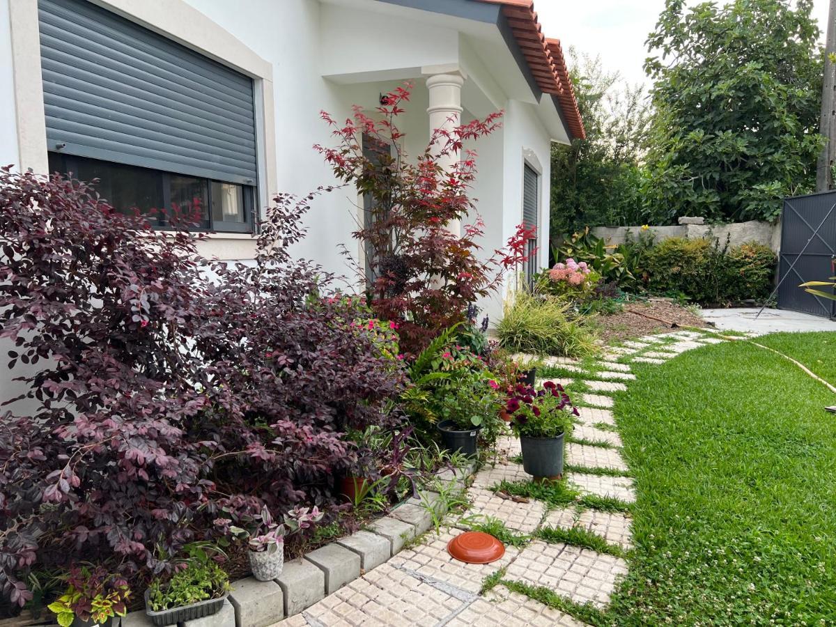 Beautiful Little Country House Villa Carvide ภายนอก รูปภาพ